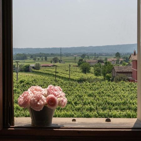 Fiori&Vigne Di Cecilia Marcon Villa Farra di Soligo Bagian luar foto