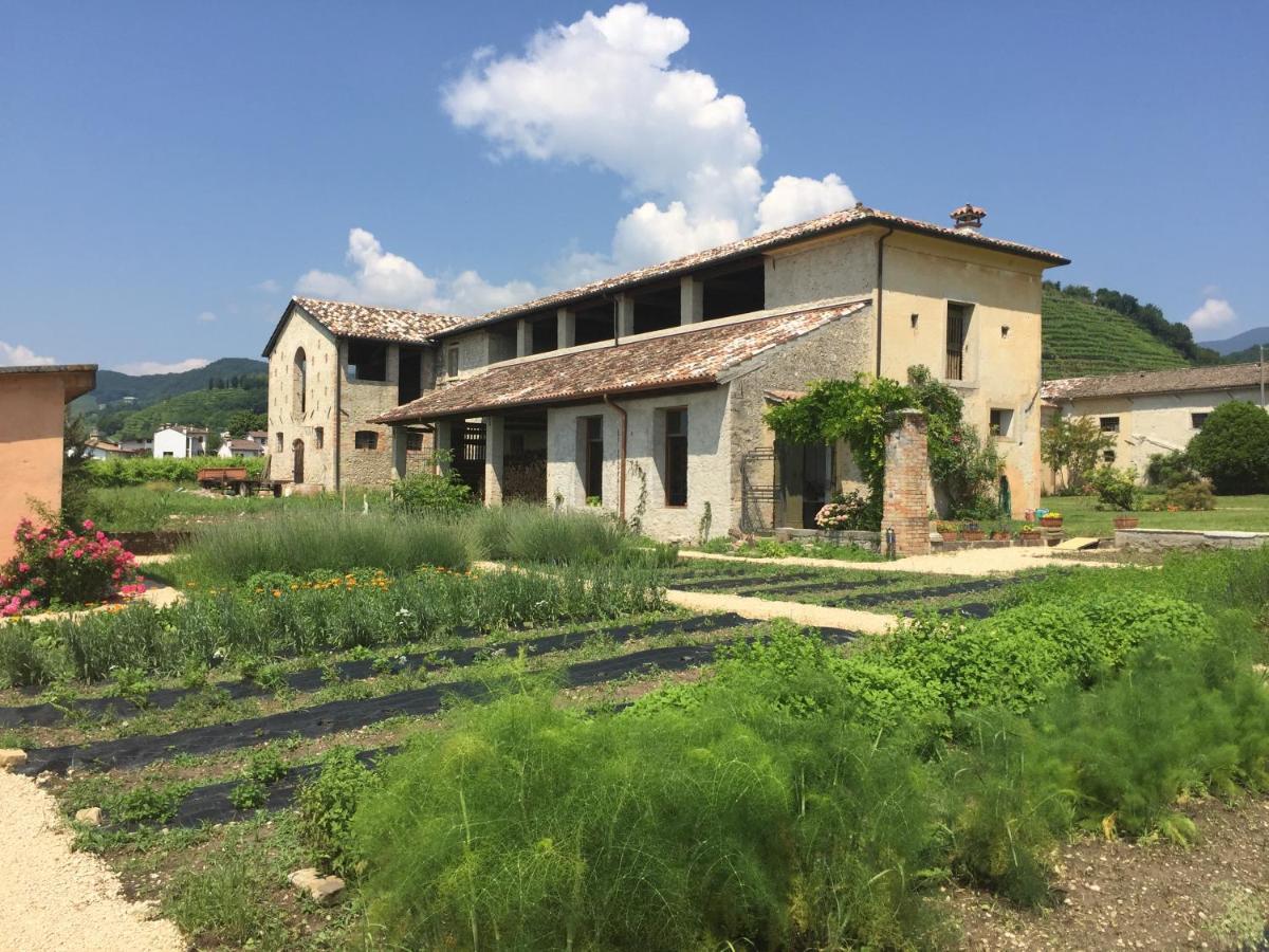 Fiori&Vigne Di Cecilia Marcon Villa Farra di Soligo Bagian luar foto
