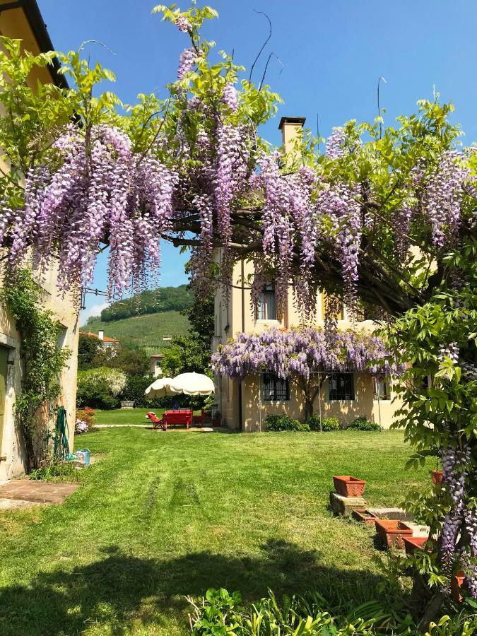 Fiori&Vigne Di Cecilia Marcon Villa Farra di Soligo Bagian luar foto